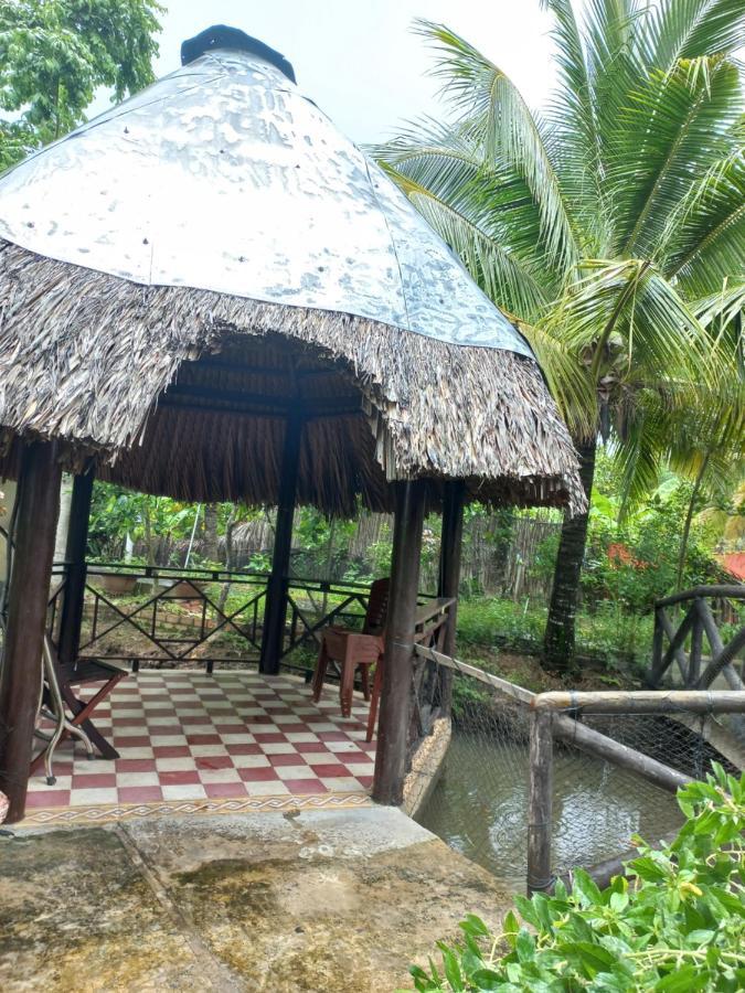 Ngoc Phuong Homestay Vĩnh Long Exteriör bild